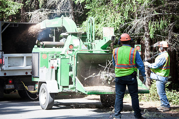 Grass Overseeding in Orange Cove, CA